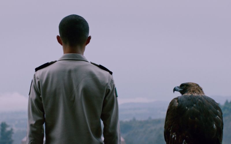 Fotograma de la película Heroico de David Zonana, con un cadete de espaldas junto a un águila en un paisaje nublado.