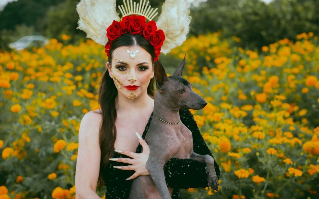 Mujer con maquillaje de Catrina y tocado de flores sostiene un Xoloitzcuintle entre campos de cempasúchil en honor al Día de Muertos.